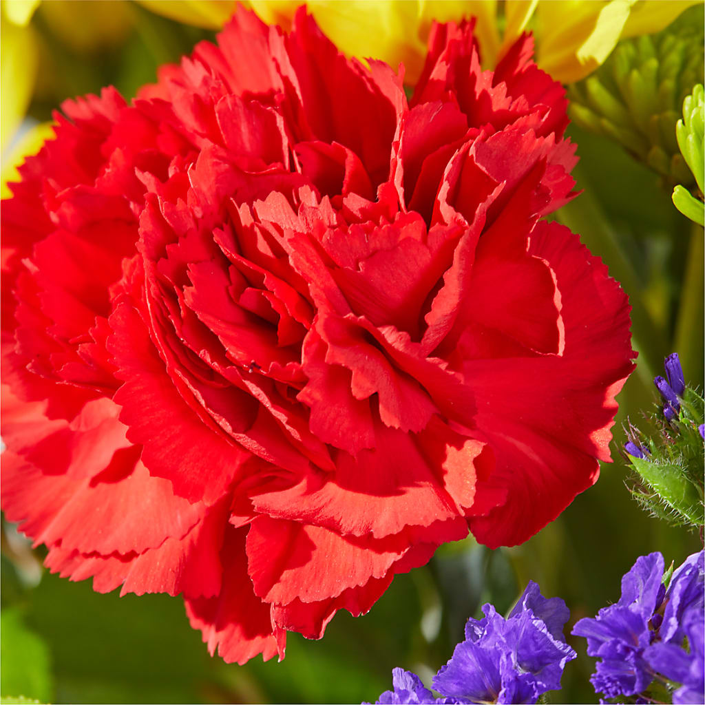 Brighter Days Bouquet –  Indiana Floral/flower Boutique, Indiana PA