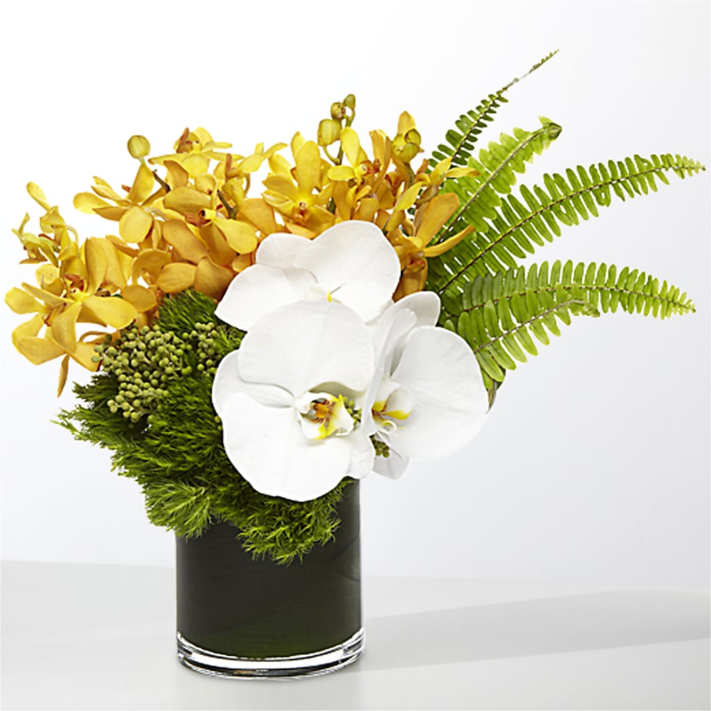 The Tropics –  Indiana Floral/flower Boutique, Indiana PA