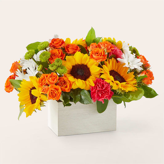 Sun-drenched Blooms Box Bouquet –  Indiana Floral/flower Boutique, Indiana PA