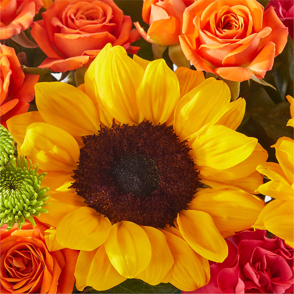 Sun-drenched Blooms Box Bouquet –  Indiana Floral/flower Boutique, Indiana PA