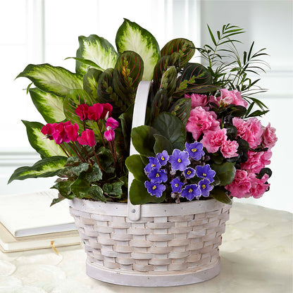 Peaceful Garden Planter –  Indiana Floral/flower Boutique, Indiana PA