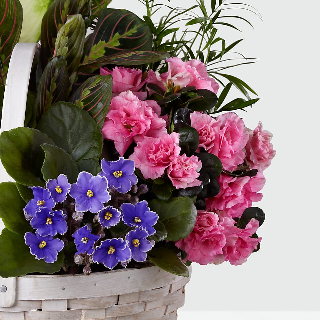 Peaceful Garden Planter –  Indiana Floral/flower Boutique, Indiana PA