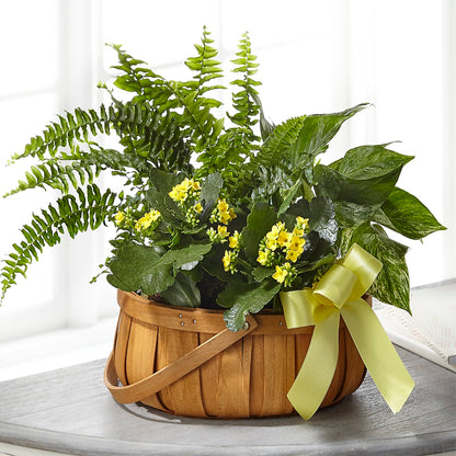 Always Dear Dishgarden –  Indiana Floral/flower Boutique, Indiana PA