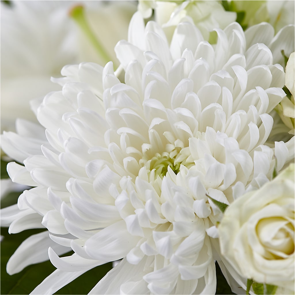Classic Ivory – A Florist Original –  Indiana Floral/flower Boutique, Indiana PA