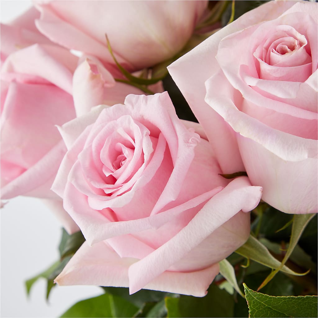 Picture Perfect Pink Rose Bouquet –  Indiana Floral/flower Boutique, Indiana PA