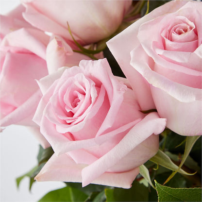 Picture Perfect Pink Rose Bouquet –  Indiana Floral/flower Boutique, Indiana PA