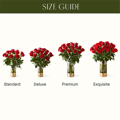 Classic Love Red Rose Bouquet –  Indiana Floral/flower Boutique, Indiana PA