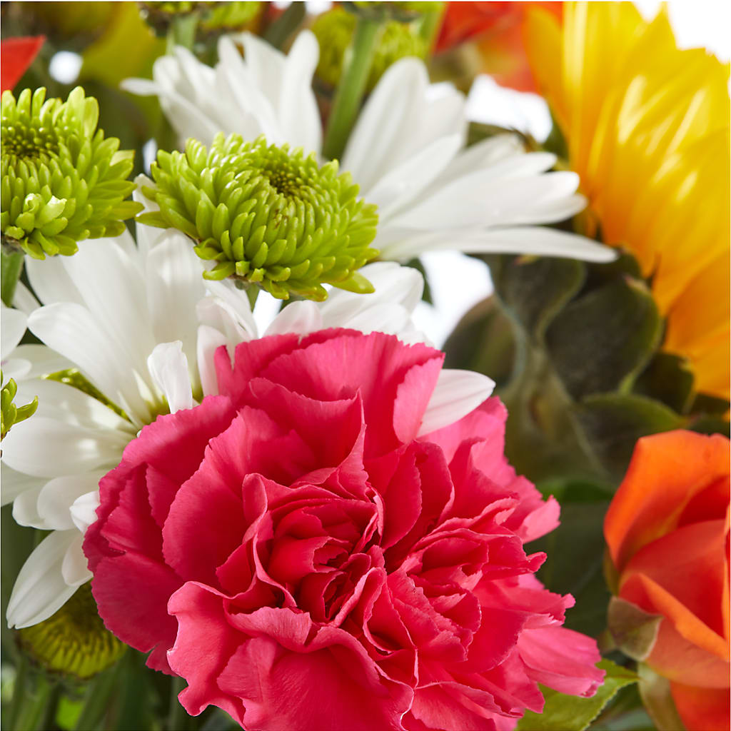 Sun-drenched Blooms Bouquet –  Indiana Floral/flower Boutique, Indiana PA