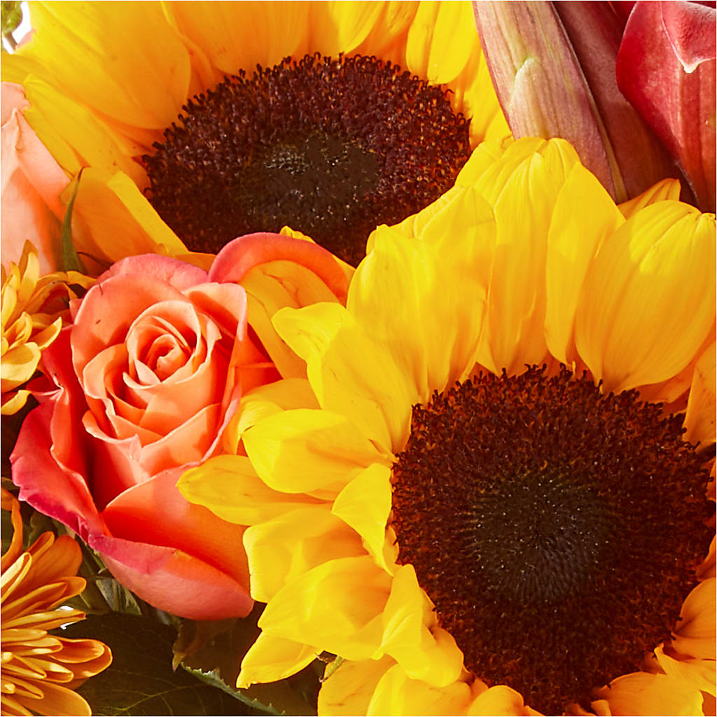 Acorn Lane Bouquet –  Indiana Floral/flower Boutique, Indiana PA