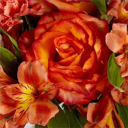 Apricot Glow Bouquet –  Indiana Floral/flower Boutique, Indiana PA