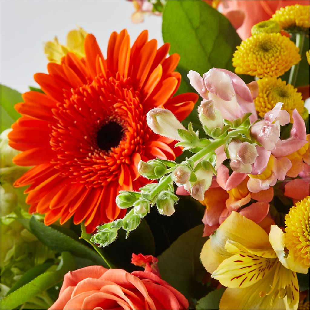 Autumn Sunshine Bouquet –  Indiana Floral/flower Boutique, Indiana PA