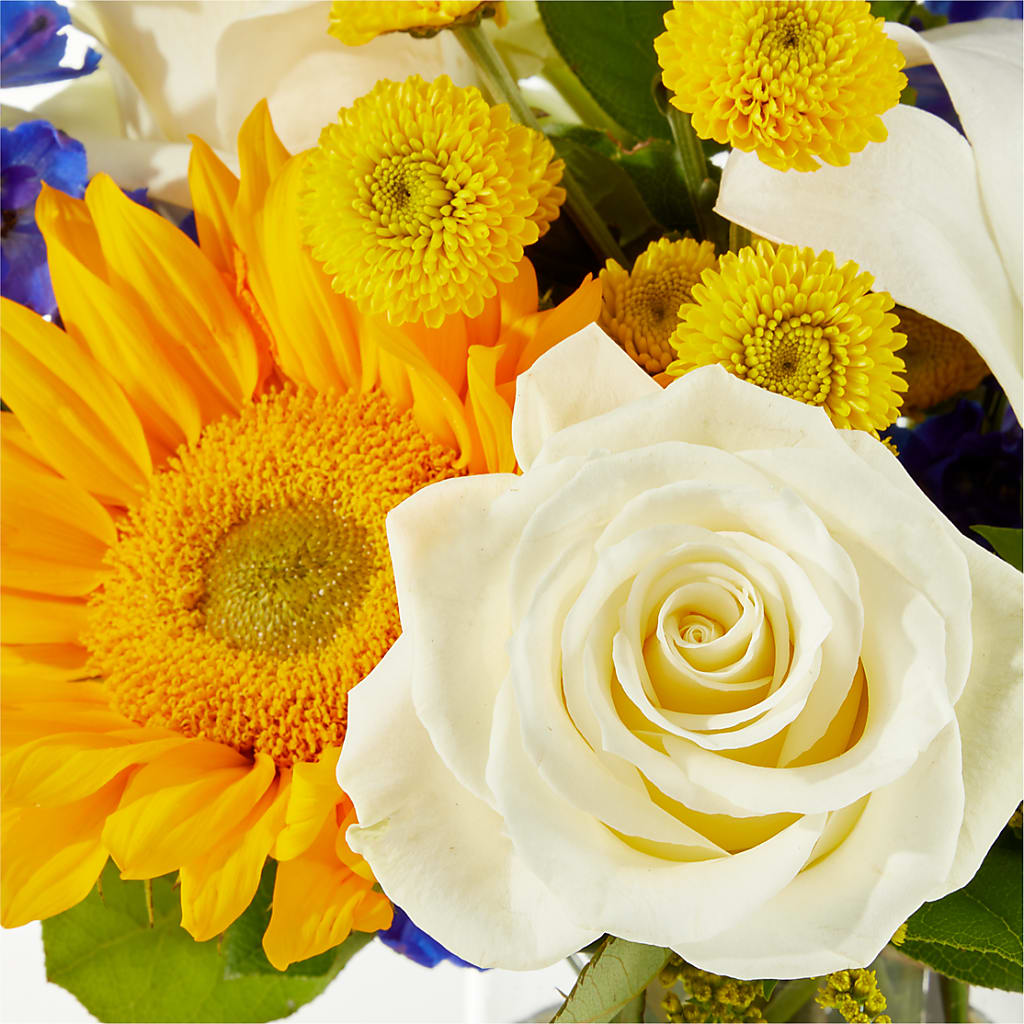 Stargazing Bouquet –  Indiana Floral/flower Boutique, Indiana PA