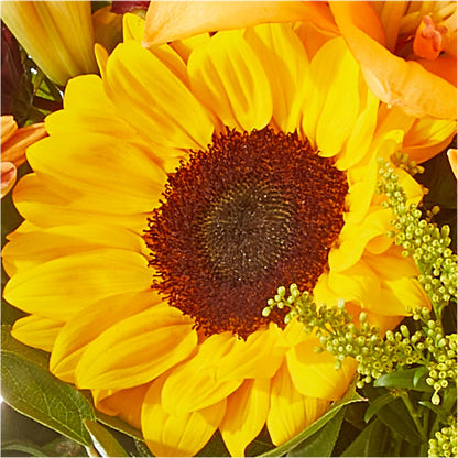 Seasons Change Bouquet –  Indiana Floral/flower Boutique, Indiana PA