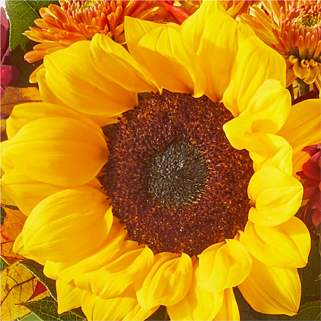 Sunny Side Bouquet –  Indiana Floral/flower Boutique, Indiana PA