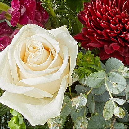 Cranberry Fizz Bouquet –  Indiana Floral/flower Boutique, Indiana PA