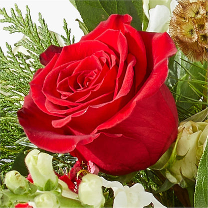 Deck the Halls Bouquet –  Indiana Floral/flower Boutique, Indiana PA