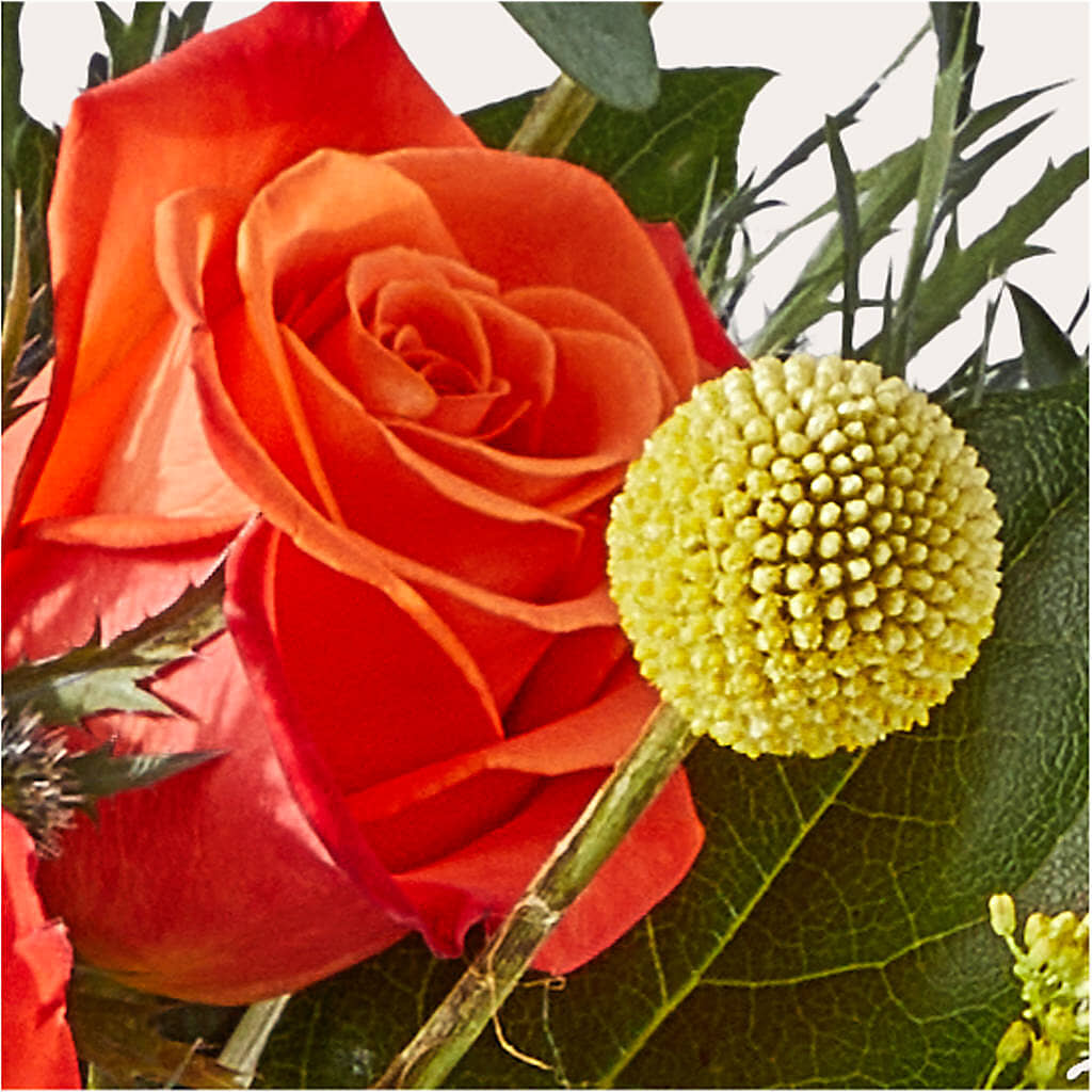 Disco Bouquet –  Indiana Floral/flower Boutique, Indiana PA