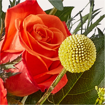 Disco Bouquet –  Indiana Floral/flower Boutique, Indiana PA