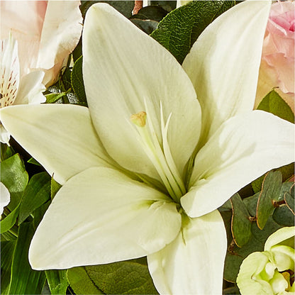 Ballet Slippers Bouquet –  Indiana Floral/flower Boutique, Indiana PA