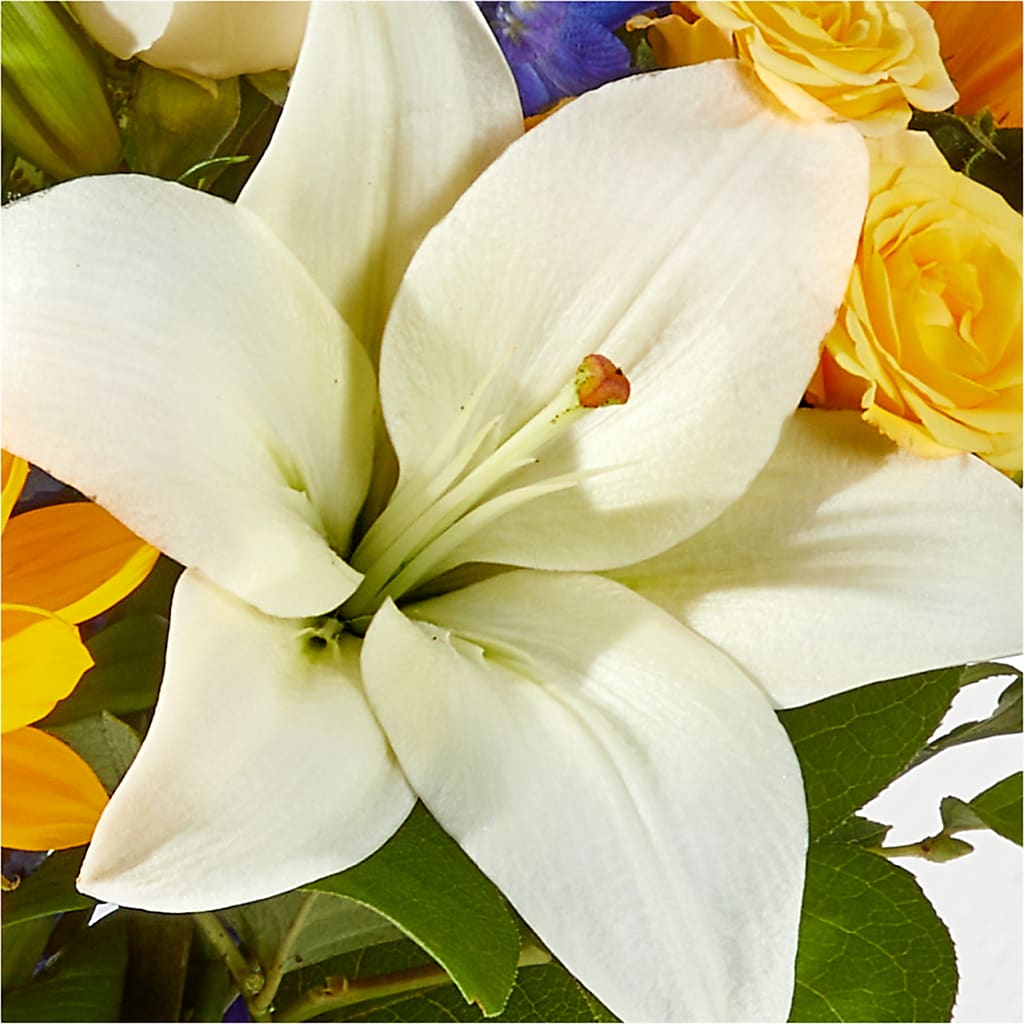Wonderfully Sunny Bouquet –  Indiana Floral/flower Boutique, Indiana PA