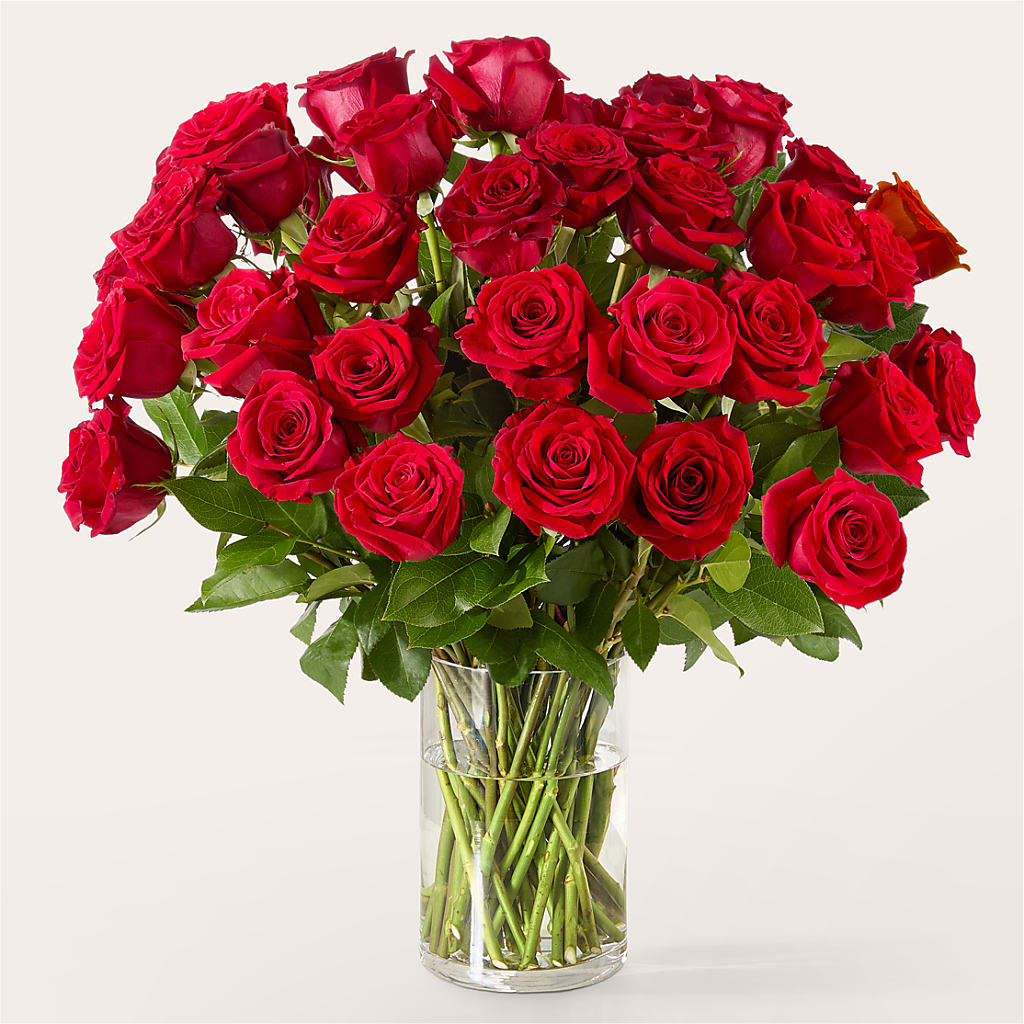 The One Red Rose Bouquet –  Indiana Floral/flower Boutique, Indiana PA