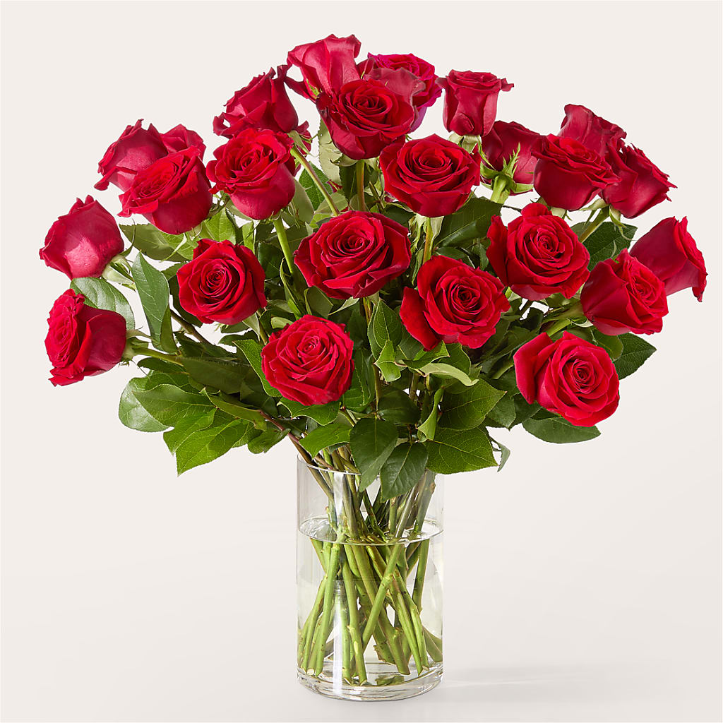 The One Red Rose Bouquet –  Indiana Floral/flower Boutique, Indiana PA