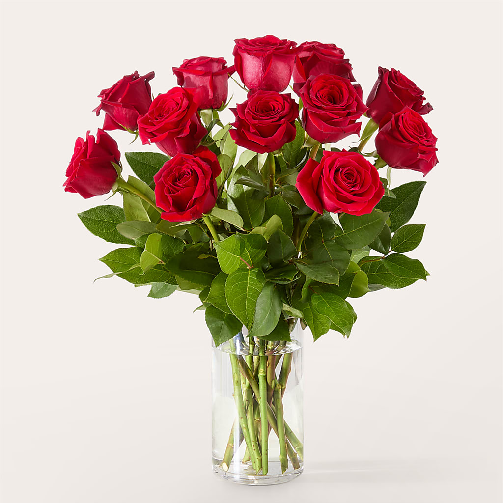 The One Red Rose Bouquet –  Indiana Floral/flower Boutique, Indiana PA