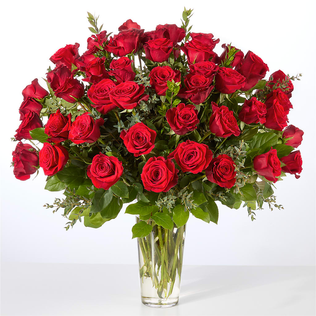 Forever Yours Fifty Stem Red Rose Bouquet –  Indiana Floral/flower Boutique, Indiana PA
