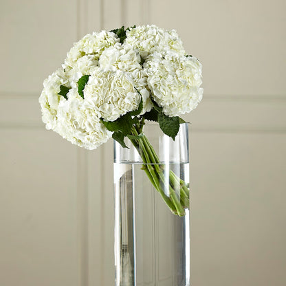 White Hydrangea Hand-Tied Bouquet –  Indiana Floral/flower Boutique, Indiana PA