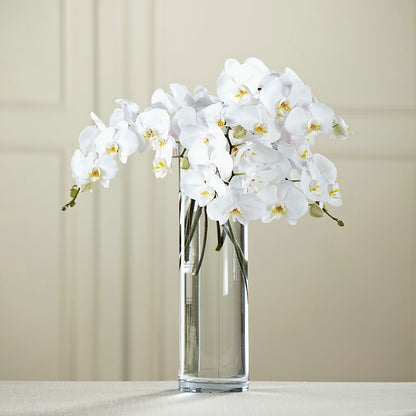 White Phalaenopsis Bouquet –  Indiana Floral/flower Boutique, Indiana PA