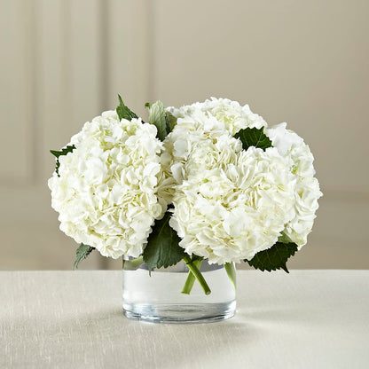 White Hydrangea Bouquet –  Indiana Floral/flower Boutique, Indiana PA